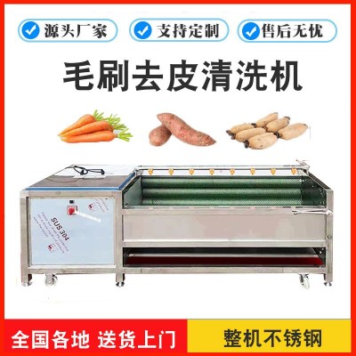 平行海蛎子毛刷清洗机 贝壳生鲜去泥机械 生蚝不锈钢毛辊洗菜设备