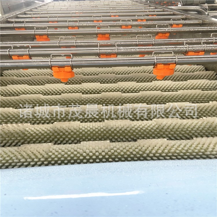 干枣红枣脐橙清洗机 毛刷喷淋果蔬清洗机 大型自动洗果风干线厂家图2