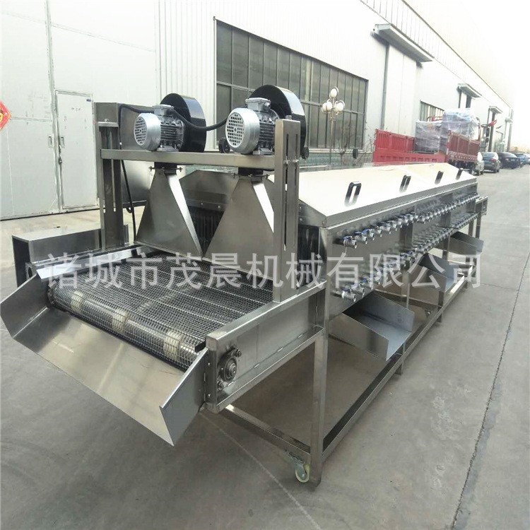 干枣红枣脐橙清洗机 毛刷喷淋果蔬清洗机 大型自动洗果风干线厂家图4