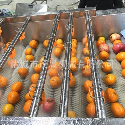 干枣红枣脐橙清洗机 毛刷喷淋果蔬清洗机 大型自动洗果风干线厂家