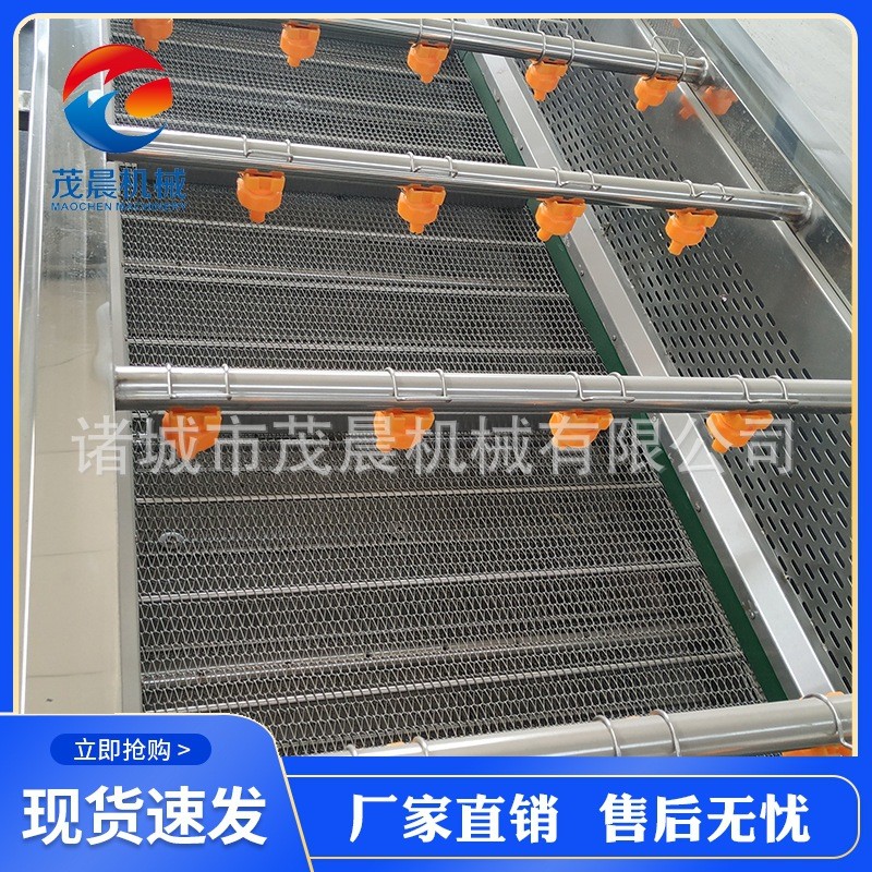 黄绿豆芽气泡喷淋清洗机 红豆青椒清泥沙去杂设备 高压喷淋机械图2