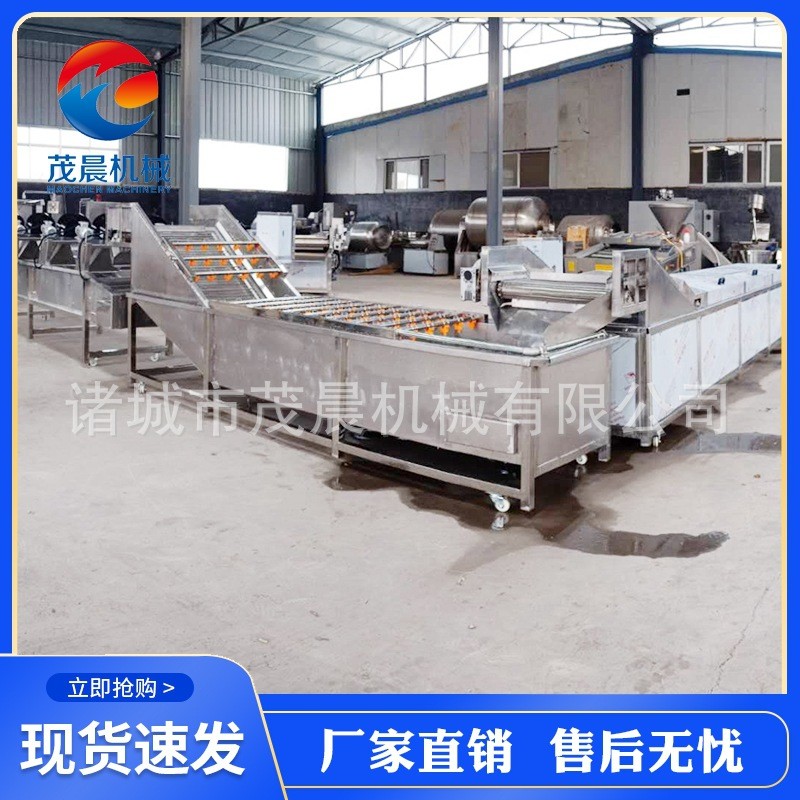 黄绿豆芽气泡喷淋清洗机 红豆青椒清泥沙去杂设备 高压喷淋机械图4