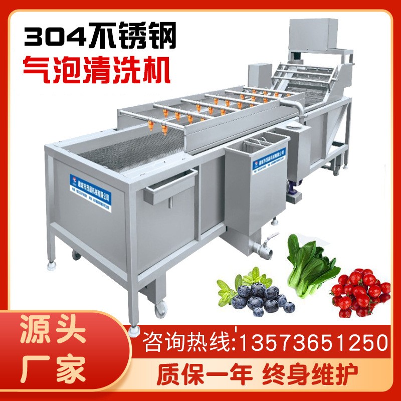 黄绿豆芽气泡喷淋清洗机 红豆青椒清泥沙去杂设备 高压喷淋机械