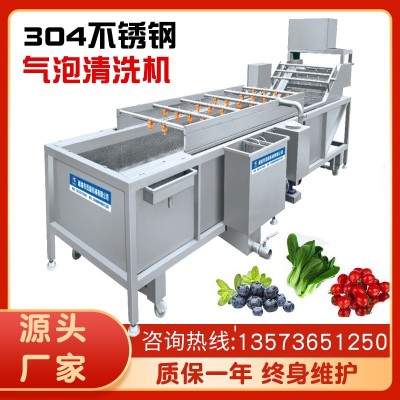 黄绿豆芽气泡喷淋清洗机 红豆青椒清泥沙去杂设备 高压喷淋机械