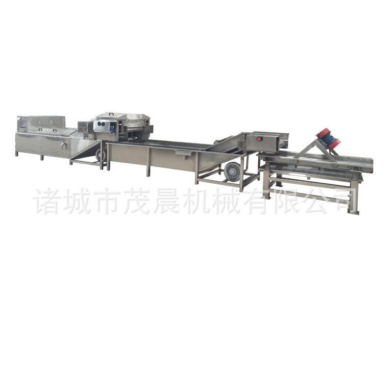 黄绿豆芽气泡喷淋清洗机 红豆青椒清泥沙去杂设备 高压喷淋机械图5