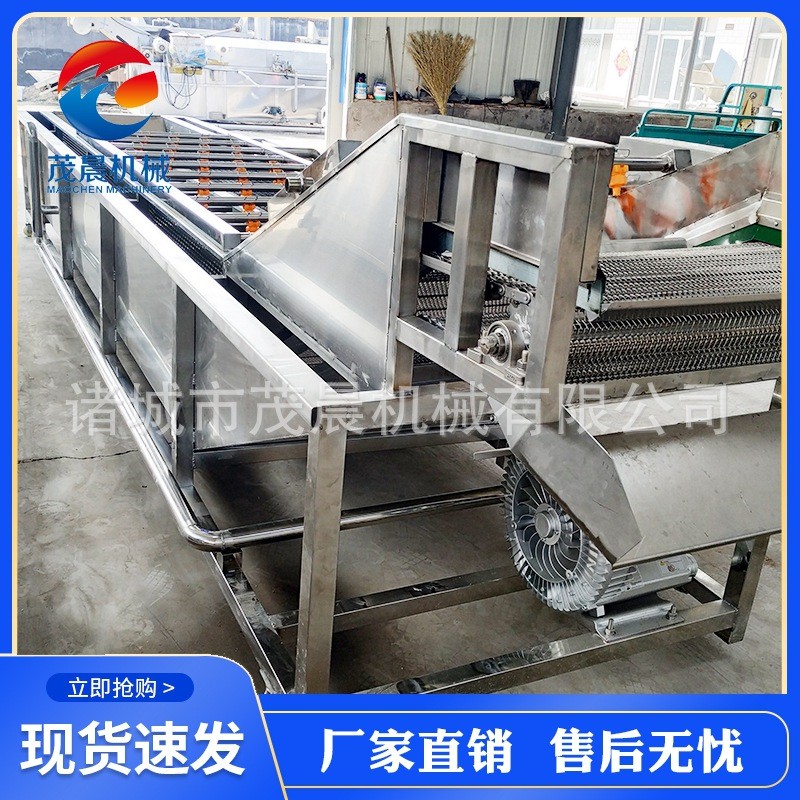 黄绿豆芽气泡喷淋清洗机 红豆青椒清泥沙去杂设备 高压喷淋机械图3