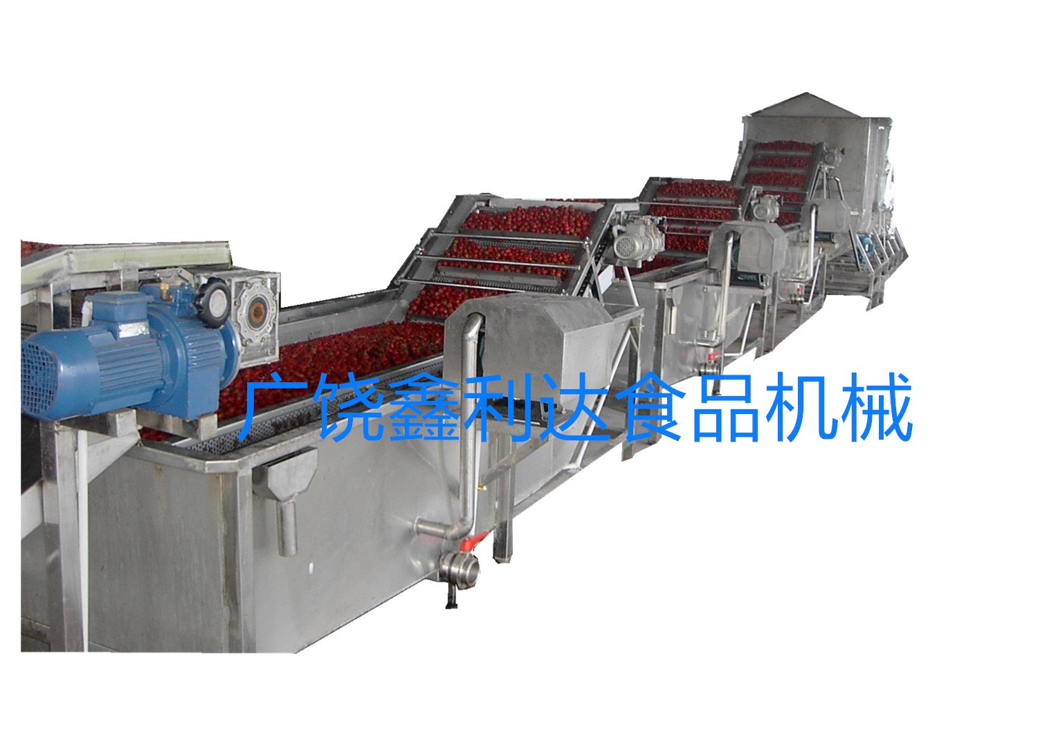 山楂清洗机 山楂清洗设备 山楂漂烫设备图2