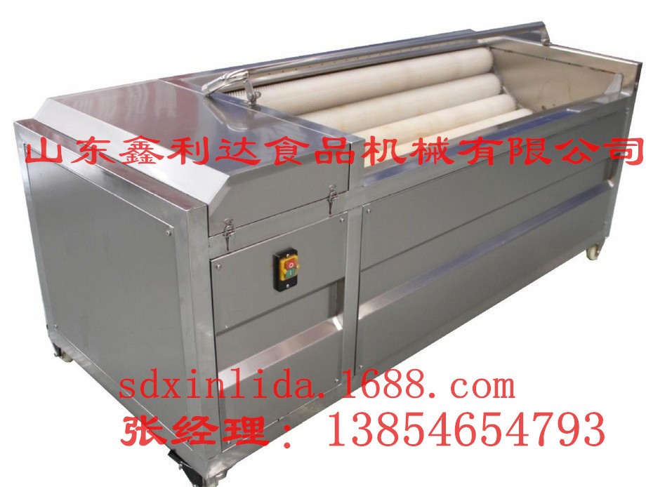 海鲜清洗机 牡蛎 扇贝 贝壳类清洗机 毛刷清洗机图2