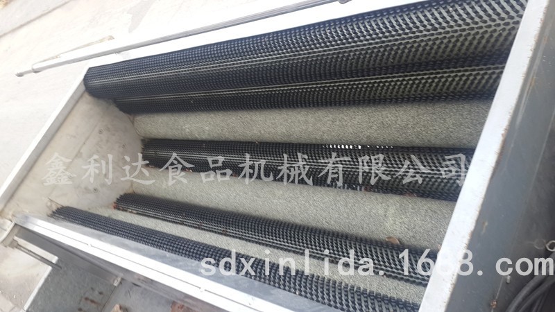 海鲜清洗机 牡蛎 扇贝 贝壳类清洗机 毛刷清洗机
