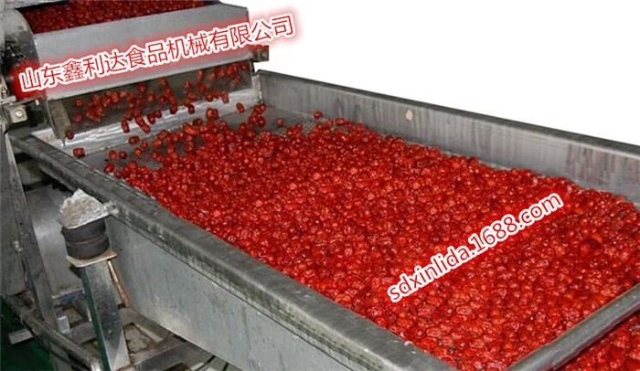 红枣 大枣气泡清洗设备 大枣 红枣清洗设备图3