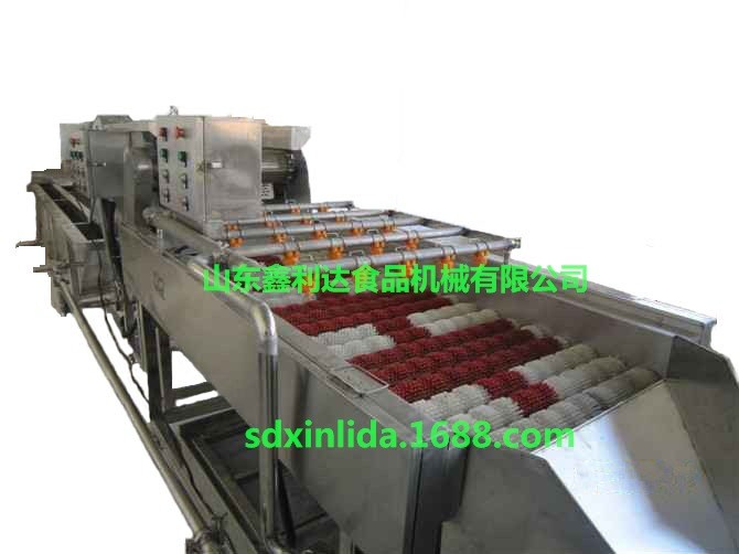 红枣 大枣气泡清洗设备 大枣 红枣清洗设备图5