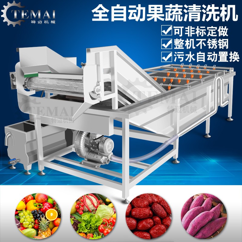 全自动果蔬气泡清洗机 商用水果蔬菜清洗机 气泡喷淋洗菜机设备图3
