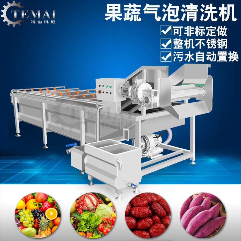 全自动果蔬气泡清洗机 商用水果蔬菜清洗机 气泡喷淋洗菜机设备图4