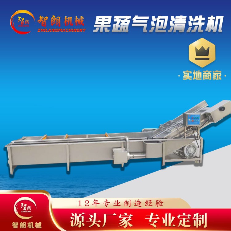 果蔬气泡清洗机 全自动连续式清洗设备 去杂汽泡清洗机厂家图2