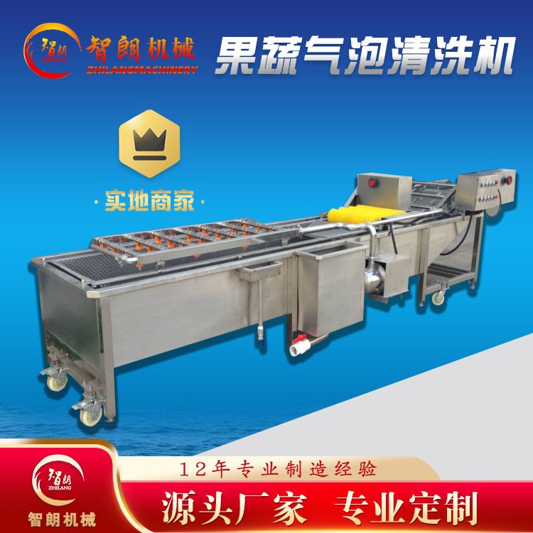 果蔬气泡清洗机 全自动连续式清洗设备 去杂汽泡清洗机厂家图4