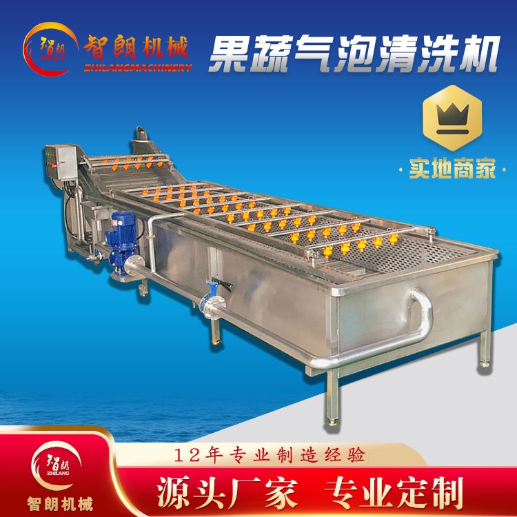 果蔬气泡清洗机 全自动连续式清洗设备 去杂汽泡清洗机厂家图3