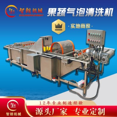 果蔬气泡清洗机 全自动连续式清洗设备 去杂汽泡清洗机厂家