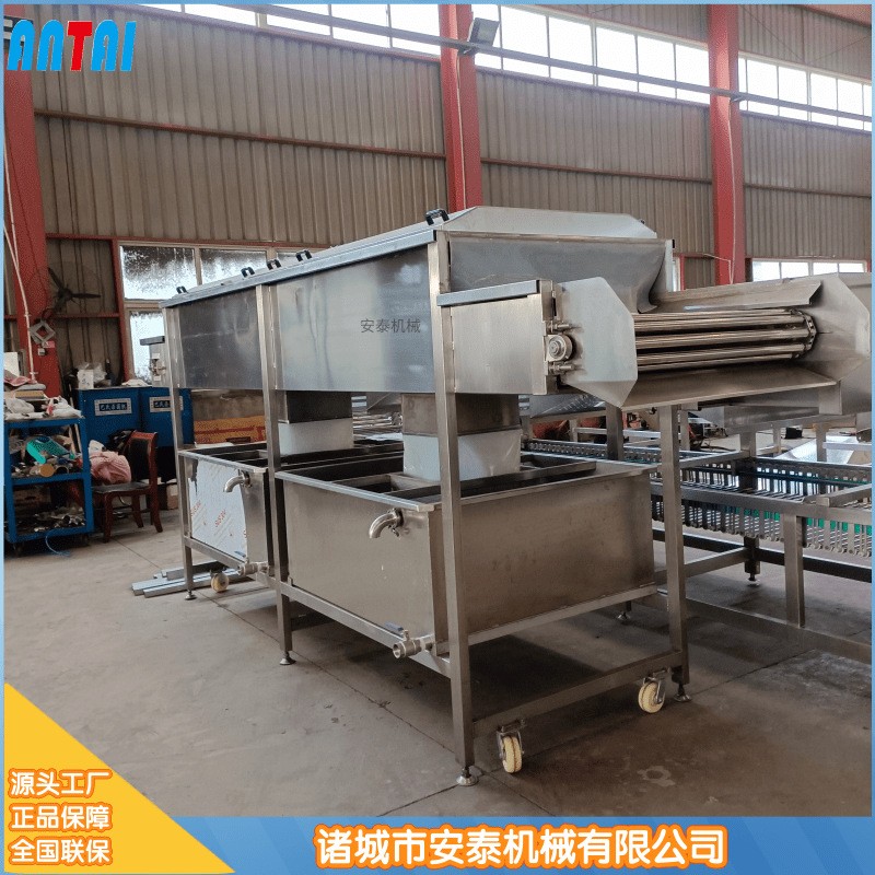 胡萝卜毛辊去皮清洗机 土豆毛刷清洗机 芹菜连续水浴气泡清洗机图2