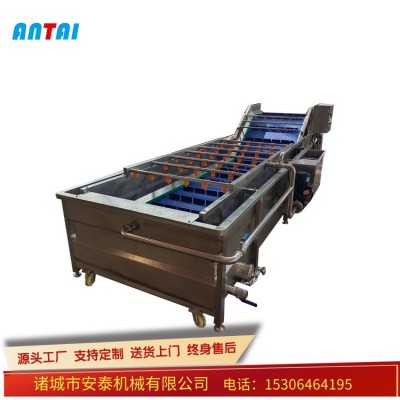 胡萝卜毛辊去皮清洗机 土豆毛刷清洗机 芹菜连续水浴气泡清洗机