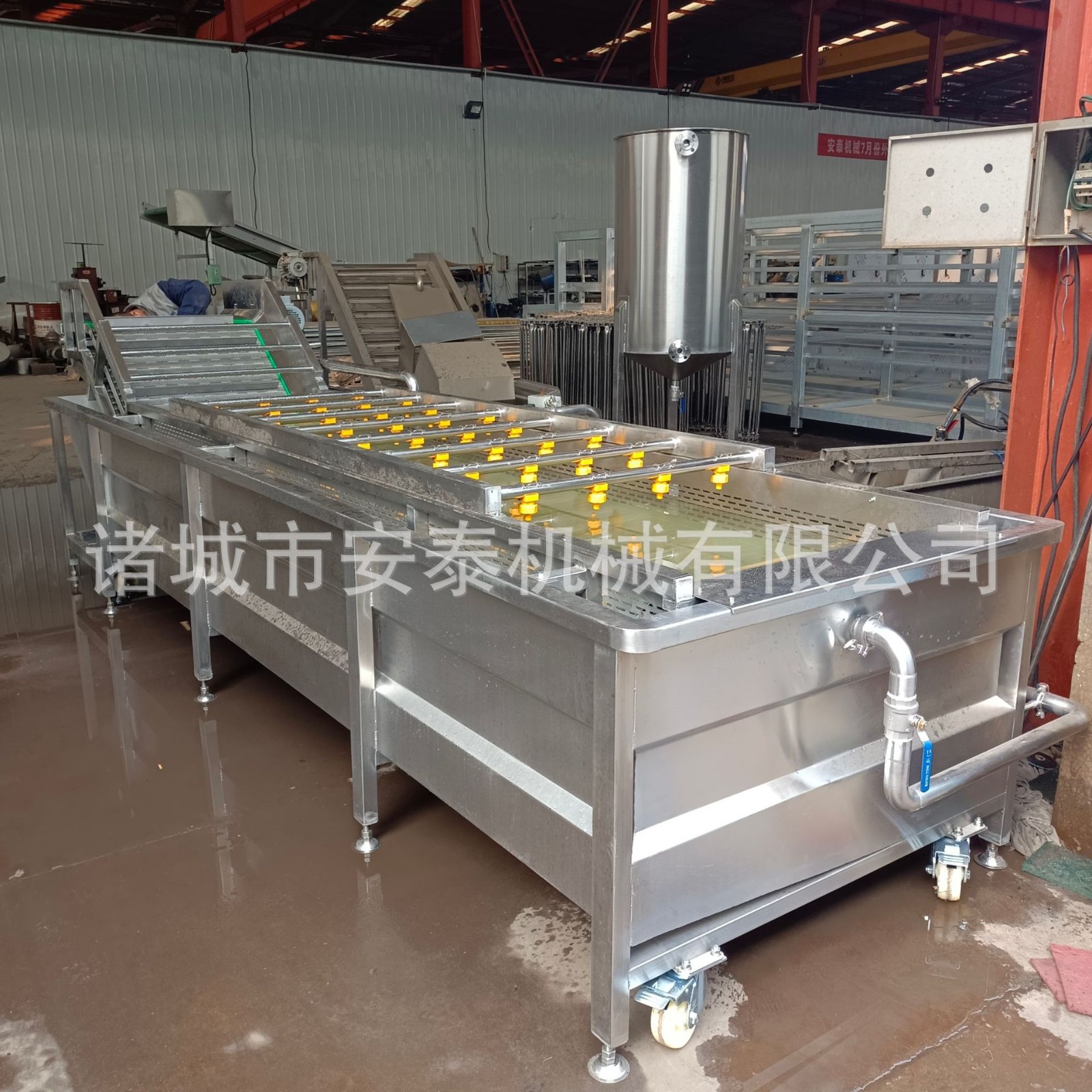 胡萝卜毛辊去皮清洗机 土豆毛刷清洗机 芹菜连续水浴气泡清洗机图3