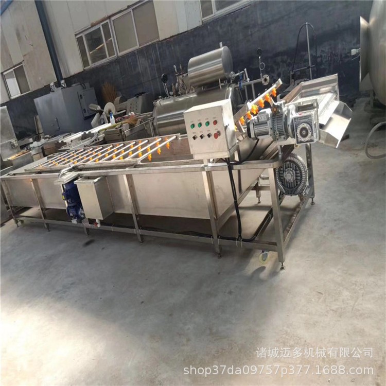 海南芒果清洗机 芒果清洗加工设备 芒果清洗流水线 清洗机现货图3