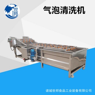 蔬菜清洗机叶类菜全自动气泡流水像草莓生姜清洗设备