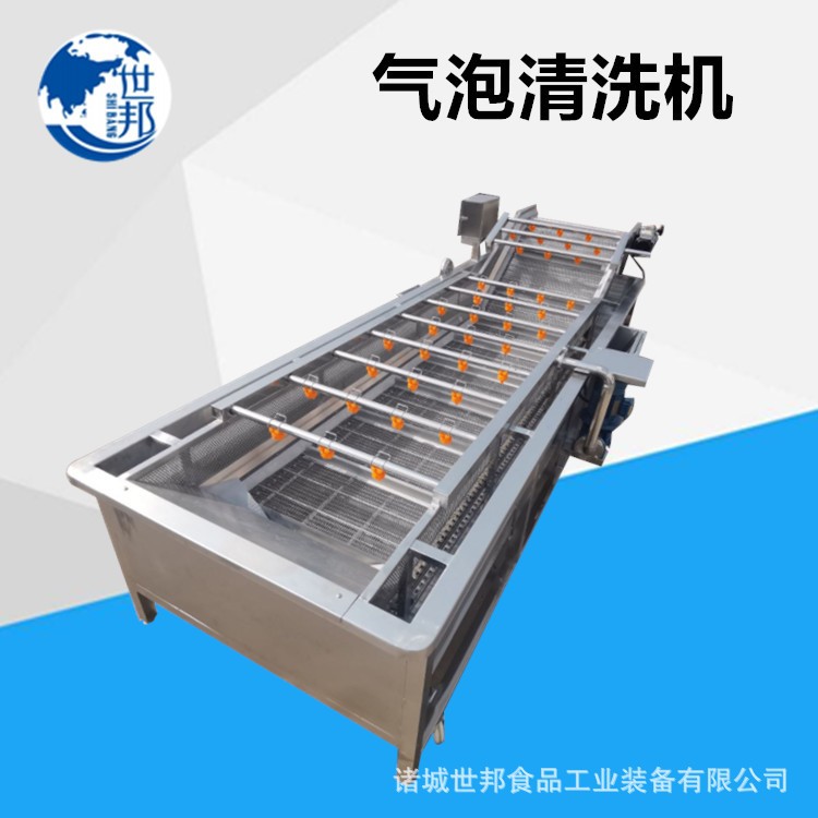 蔬菜清洗机叶类菜全自动气泡流水像草莓生姜清洗设备图3