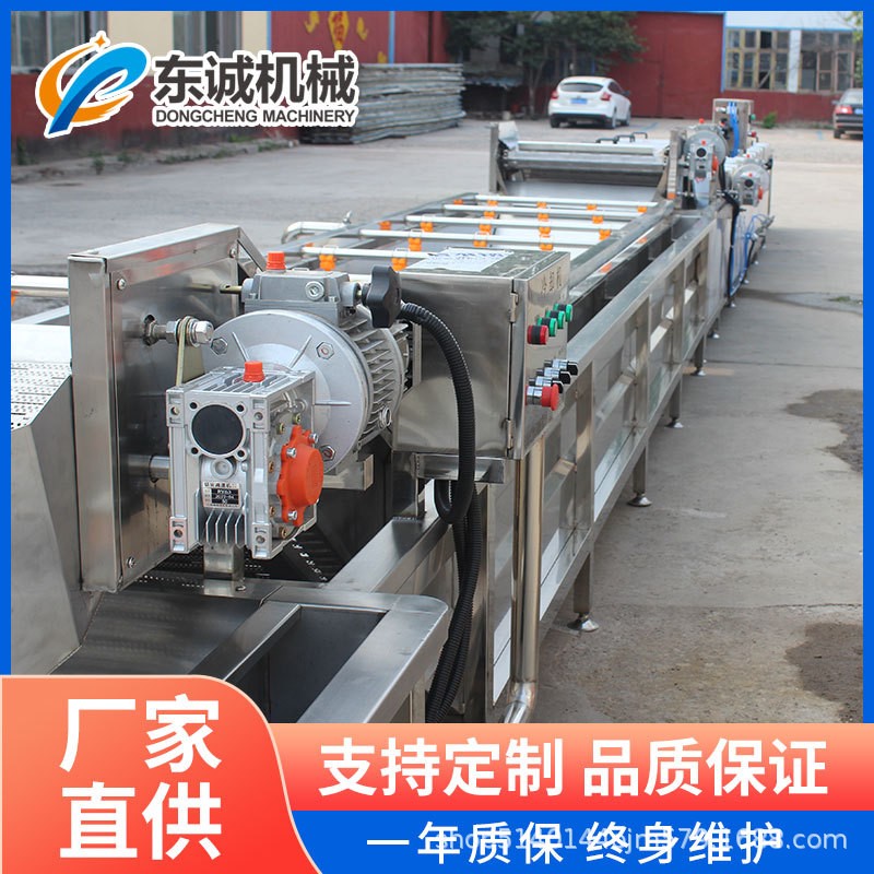 多功能商用洗菜机 喷淋式中药材气泡清洗机 果蔬全自动清洗流水线图4