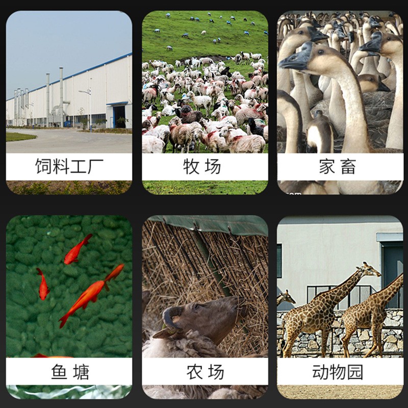 现货供应鸡鸭鱼牛羊猪饲料造粒机牧场养殖三压轮四盘220V颗粒机图3