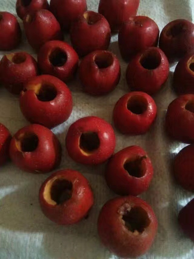 红枣剥籽机全自动山楂去核机山里红去籽机挖籽机不伤果肉去核机图4