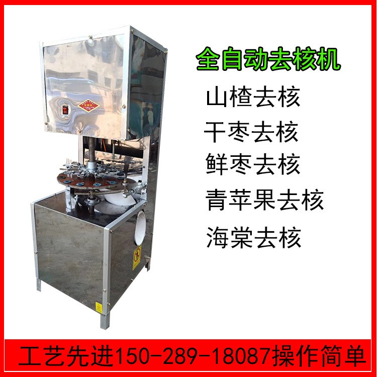 红枣剥籽机全自动山楂去核机山里红去籽机挖籽机不伤果肉去核机图2