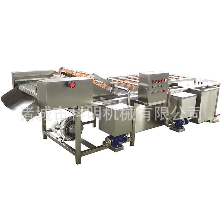 气泡冲浪鲜笋清洗机自动水循环龙虾尾气泡清洗设备 葡萄干清洗线图5