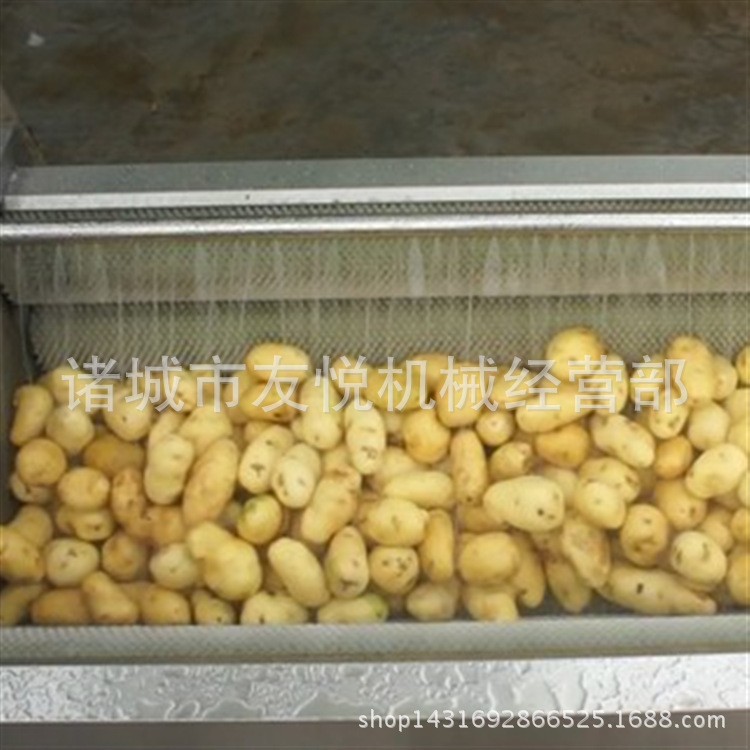 清洗机 毛辊清洗机 地环辣菜全自动清洗机图3