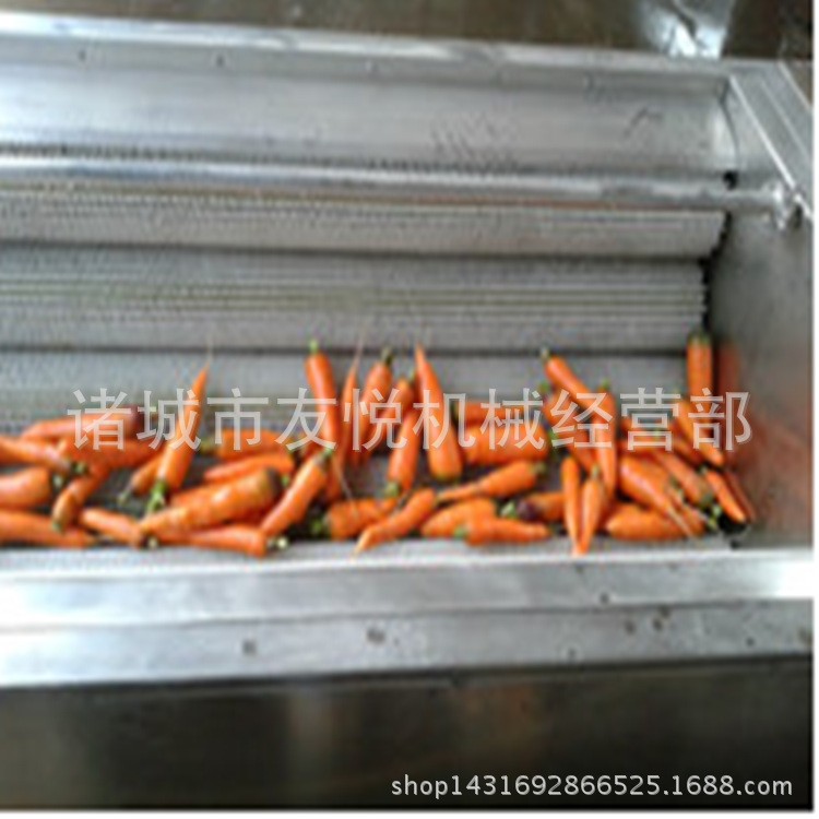 清洗机 毛辊清洗机 地环辣菜全自动清洗机图2