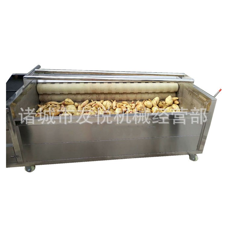 清洗机 毛辊清洗机 地环辣菜全自动清洗机图5