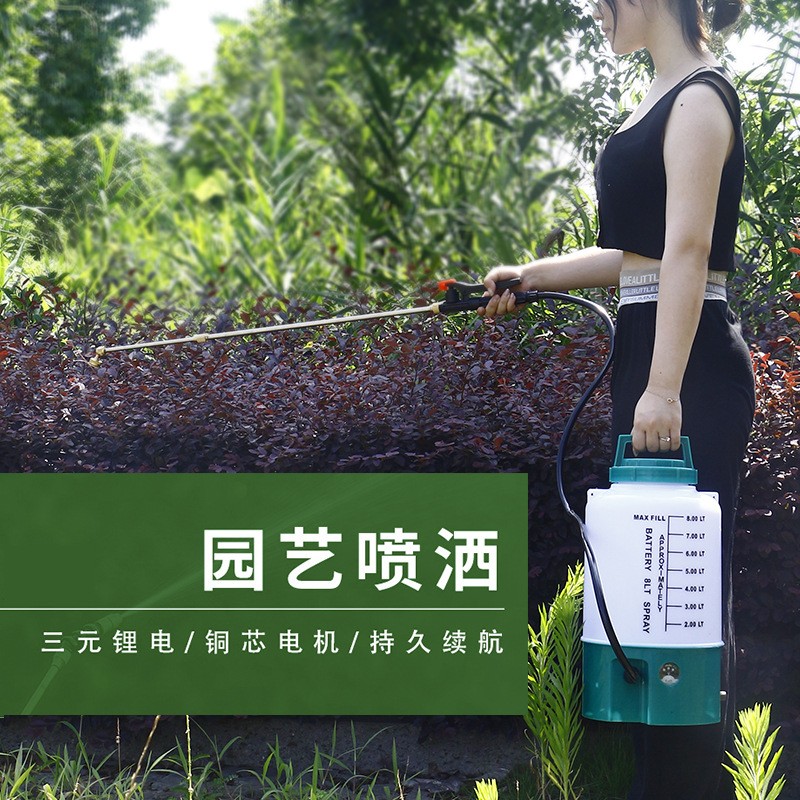 小型电动消杀喷雾器高压锂电池打药消毒机农用背负式新式农药喷壶图2