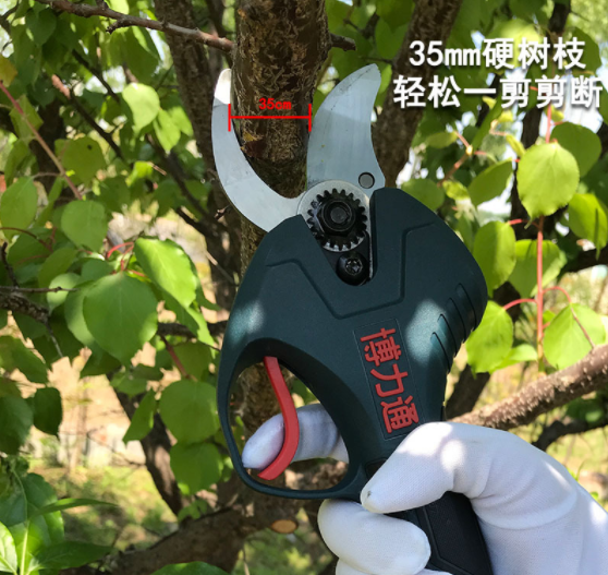 电动果树修枝剪刀侧插充电式园林剪枝机锂电农用剪刀源头厂家批发图2