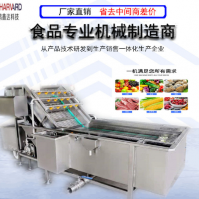 罐头厂旋流清洗机供应 苹果橘子洗果机 食品厂加工生产流水线