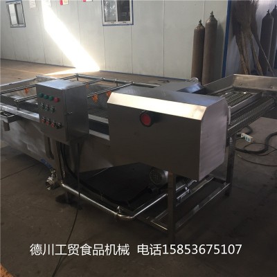 高压喷淋菠菜气泡清洗机 苹果气泡清洗机 小龙虾气泡清洗机