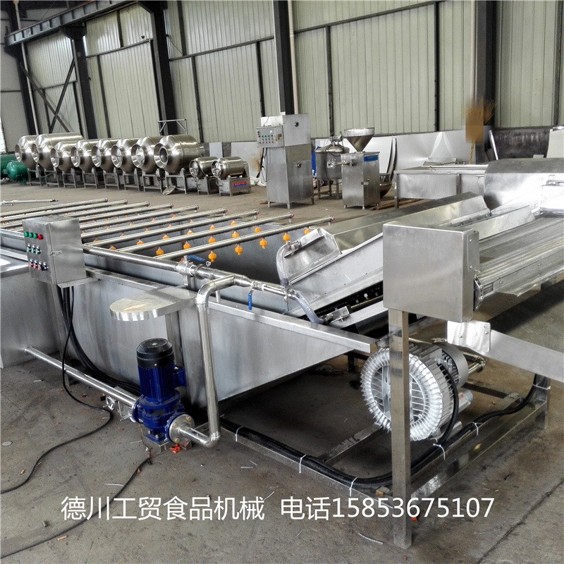 花生毛豆气泡清洗机 中药材气泡清洗设备 西红柿气泡清洗机