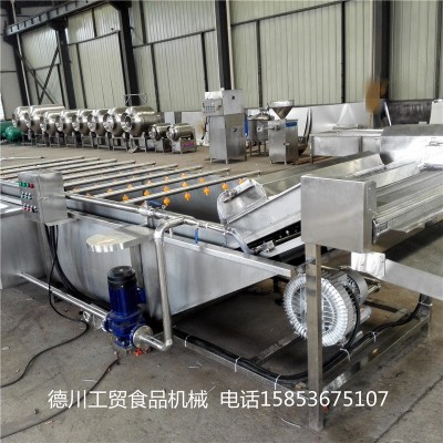 花生毛豆气泡清洗机 中药材气泡清洗设备 西红柿气泡清洗机