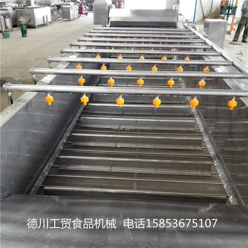 花生毛豆气泡清洗机 中药材气泡清洗设备 西红柿气泡清洗机图2