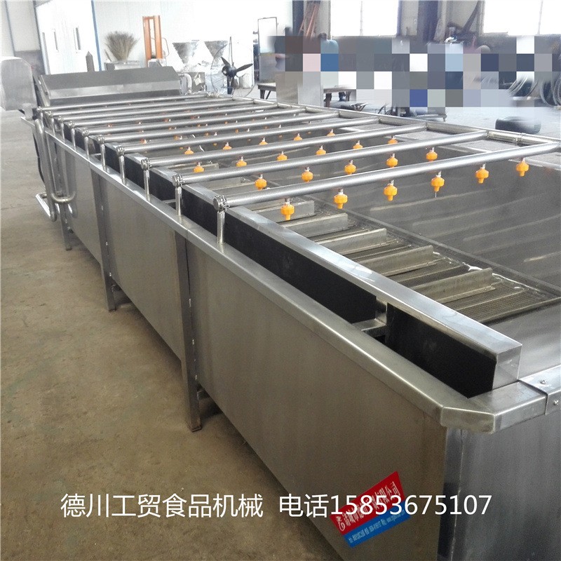 花生毛豆气泡清洗机 中药材气泡清洗设备 西红柿气泡清洗机图4