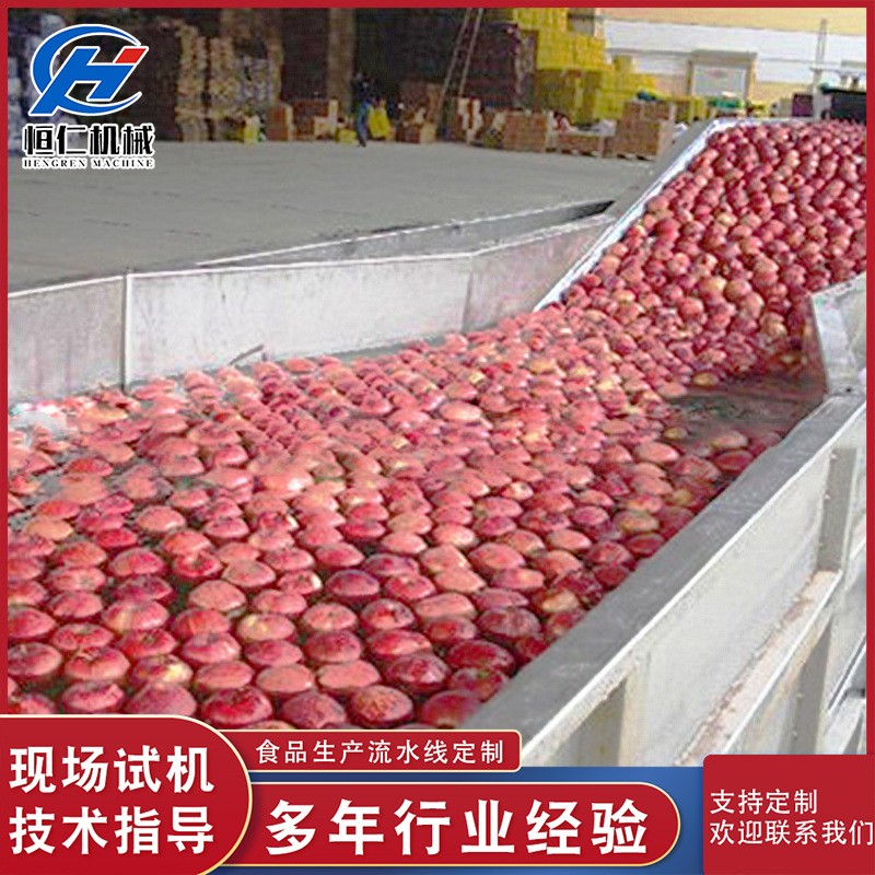 苹果橙子清洗机 全自动果蔬气泡清洗机 茴香清洗线设备 厂家供应图4