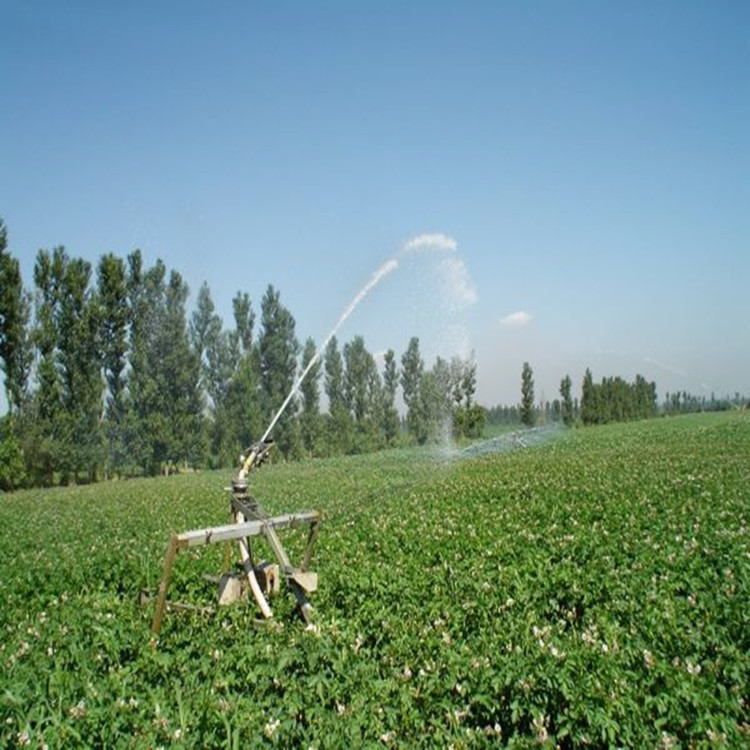 微信图片_20200721180947_副本