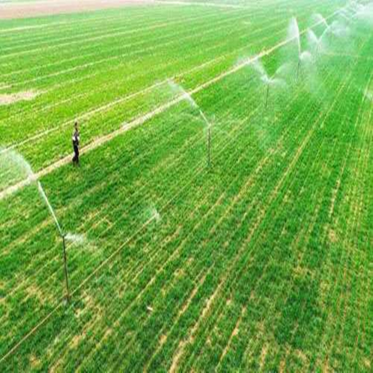 微信图片_20200715144804_副本