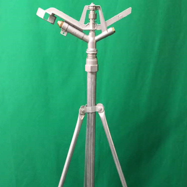 微信图片_20200703163454_副本