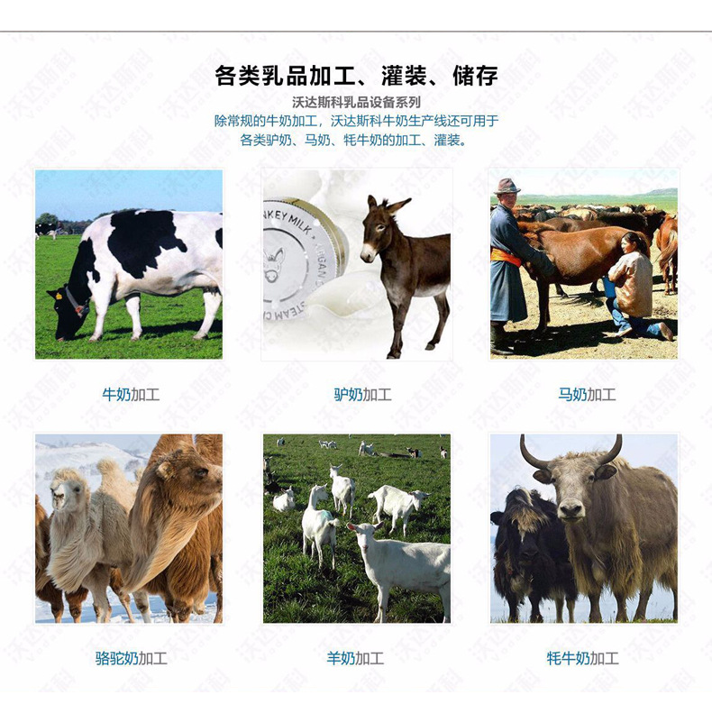 乳品新模板1_03