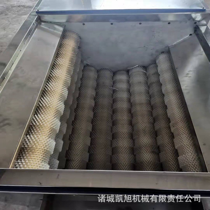 红薯土豆去皮清洗机 全自动毛刷辊洗姜机 多功能根茎类药材清洗机图2