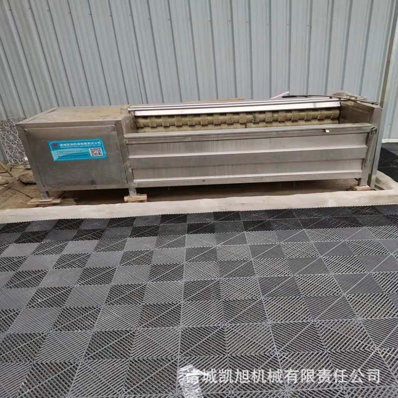 红薯土豆去皮清洗机 全自动毛刷辊洗姜机 多功能根茎类药材清洗机图4